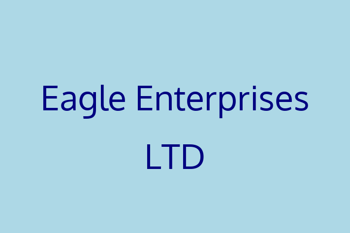 Tech Solutions Company Eagle Enterprises LTD