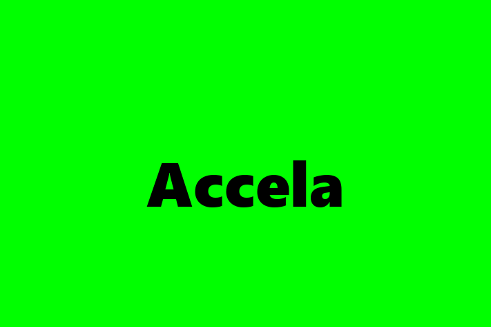 Software Consultancy Accela