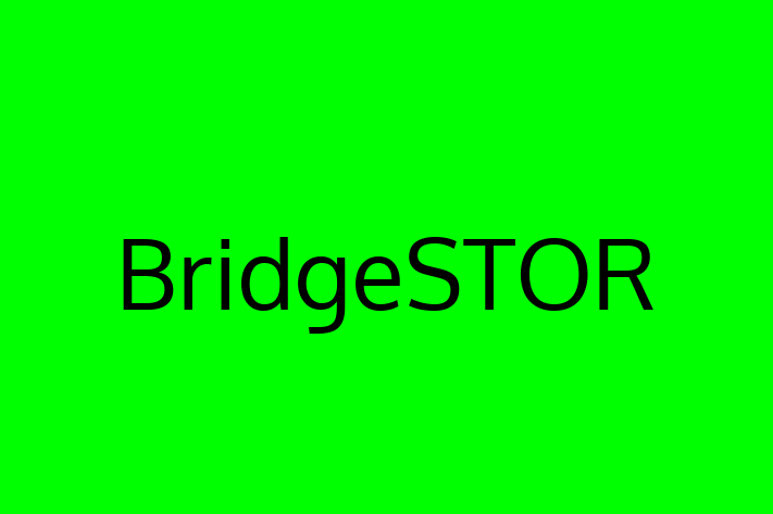 Technology Solutions Firm BridgeSTOR