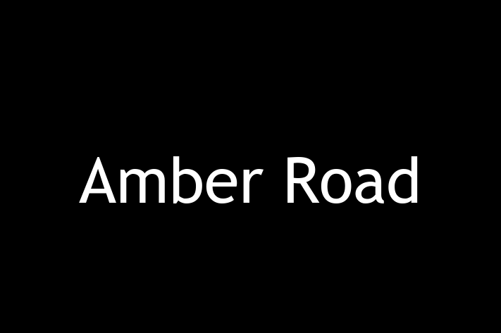 Application Development Company Amber Road