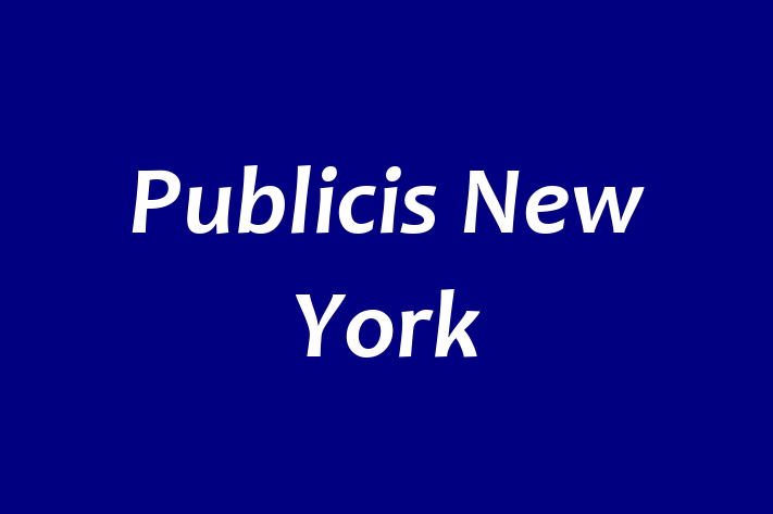 Software Consultancy Publicis New York