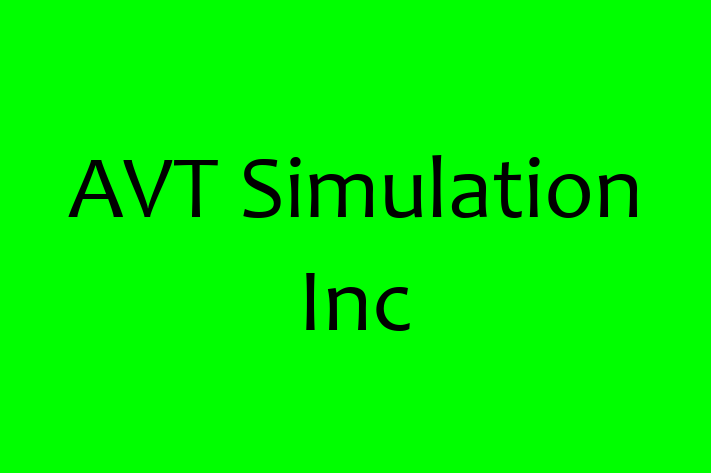 Software Services Company AVT Simulation Inc