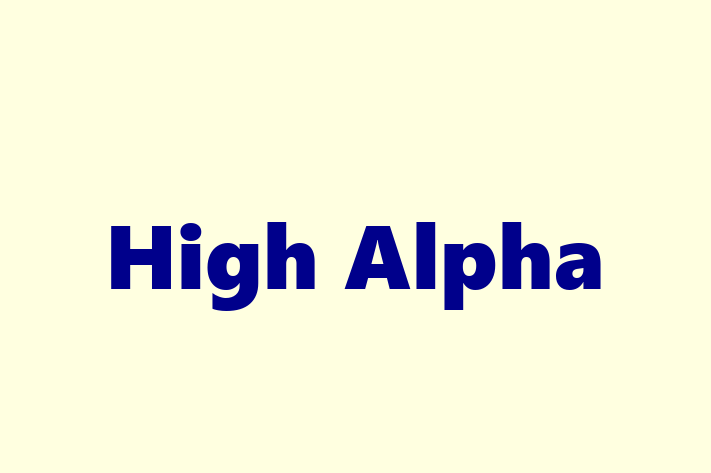 IT Company High Alpha