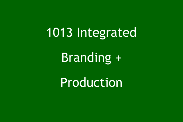 Software Firm 1013 Integrated Branding + Production