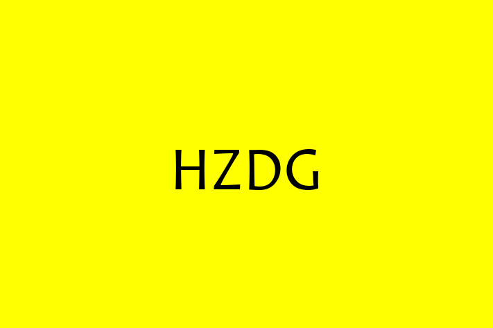 Software Engineering Company HZDG