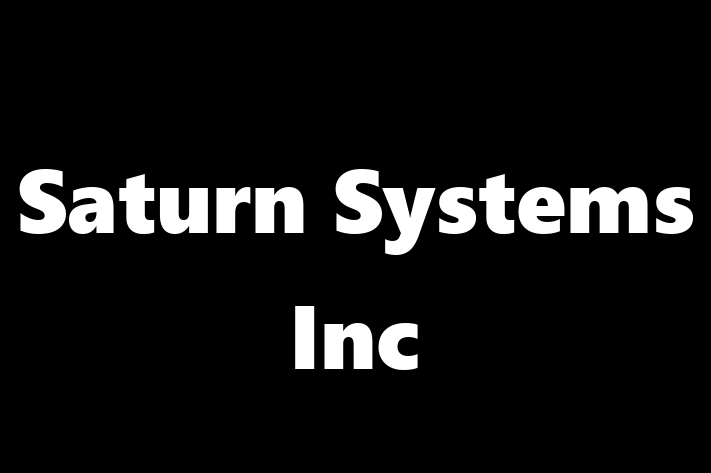 Software Firm Saturn Systems Inc