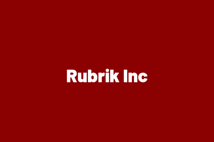 Tech Solutions Company Rubrik Inc