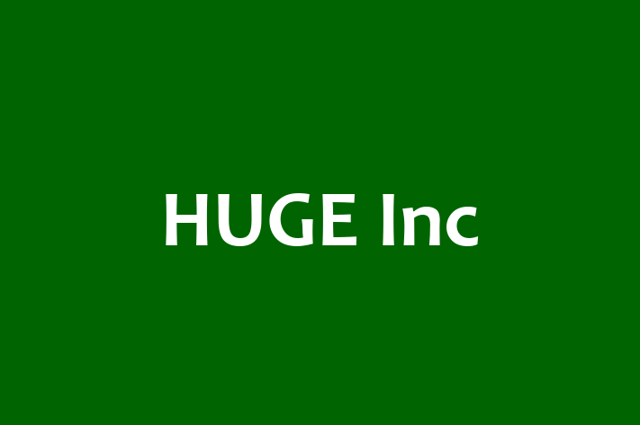 Digital Solutions Provider HUGE Inc