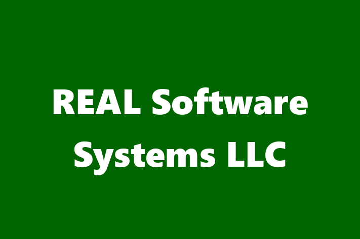 Digital Solutions Provider REAL Software Systems LLC