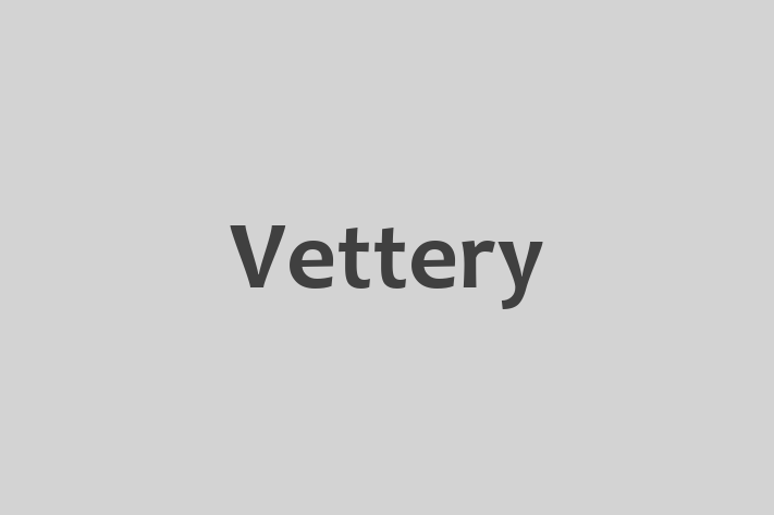 Software Services Company Vettery