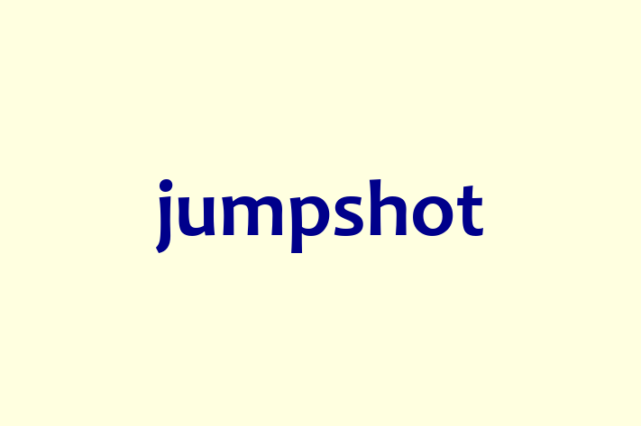 Tech Solutions Company jumpshot