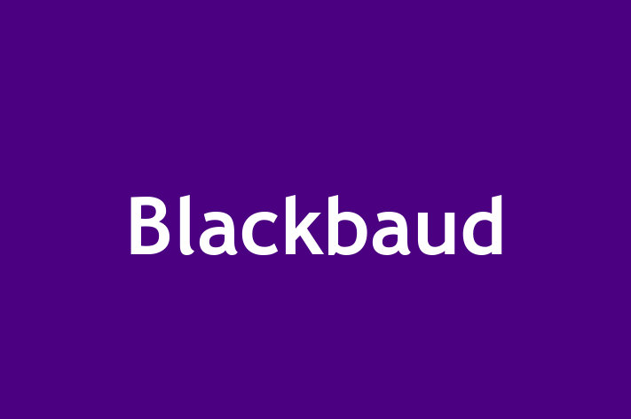 Software Engineering Company Blackbaud