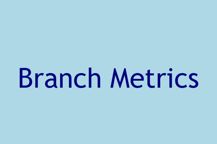 Software Development Firm Branch Metrics