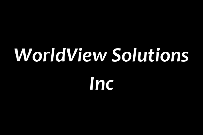 Application Development Company WorldView Solutions Inc