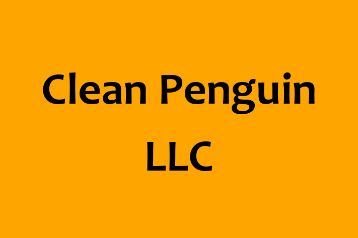 Home Maintenance Clean Penguin LLC