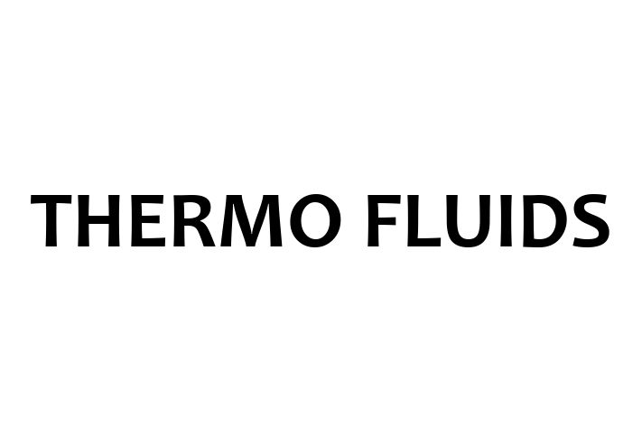 Software Services Company THERMO FLUIDS