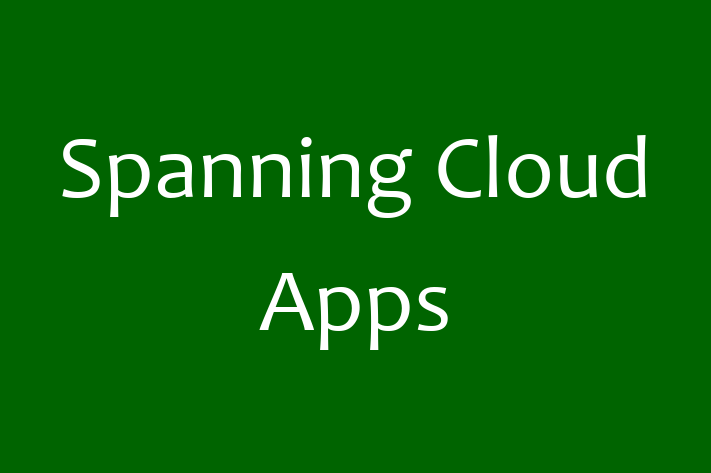 Technology Solutions Firm Spanning Cloud Apps