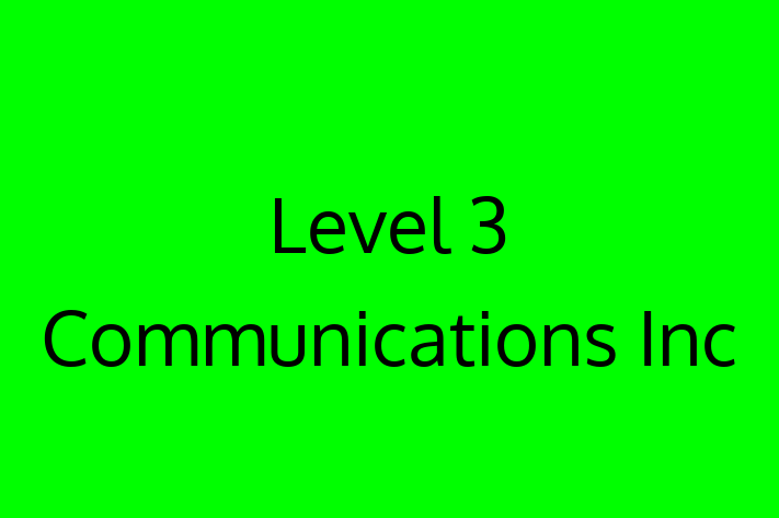 Technology Solutions Firm Level 3 Communications Inc