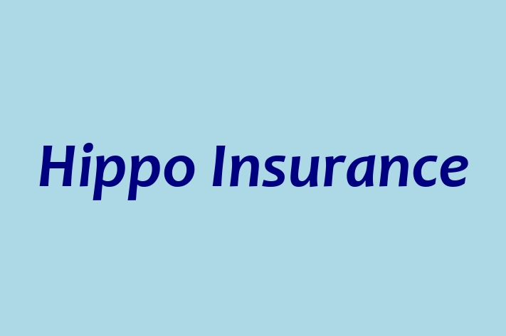 People Management Hippo Insurance