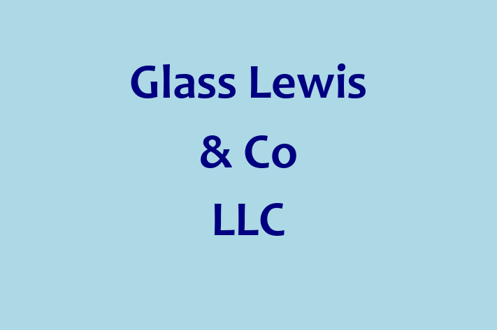 Software Development Company Glass Lewis  Co LLC