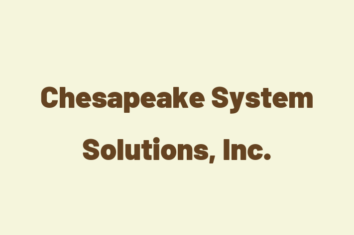 Software Engineering Company Chesapeake System Solutions Inc.