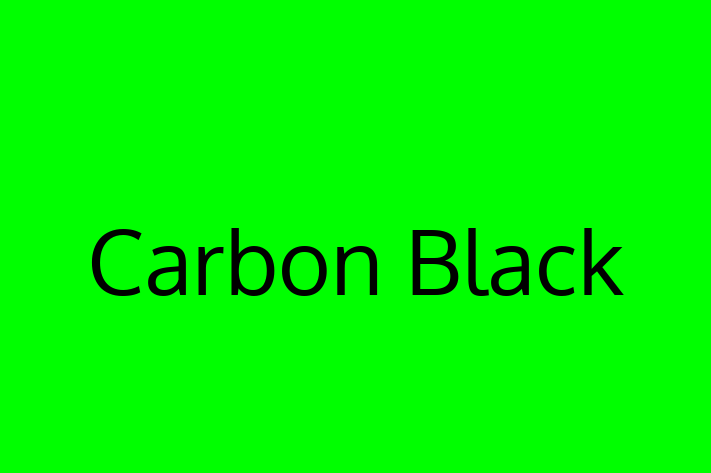 Technology Solutions Firm Carbon Black