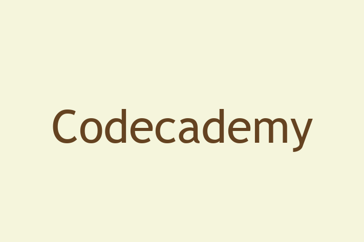 Software Solutions Provider Codecademy