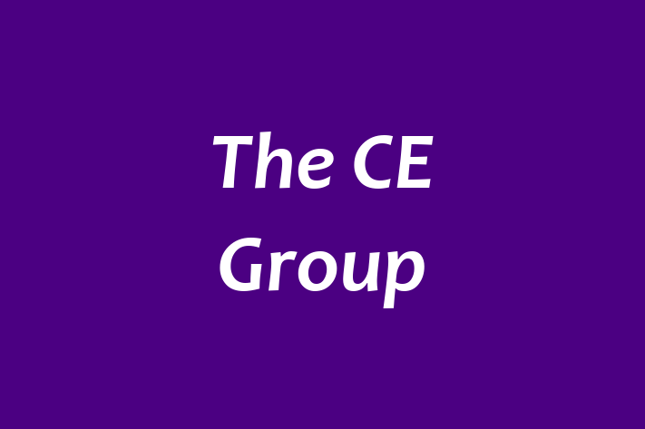 Tech Solutions Company The CE Group