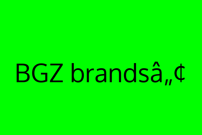 Technology Company BGZ brands