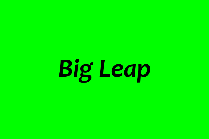 Technology Solutions Firm Big Leap