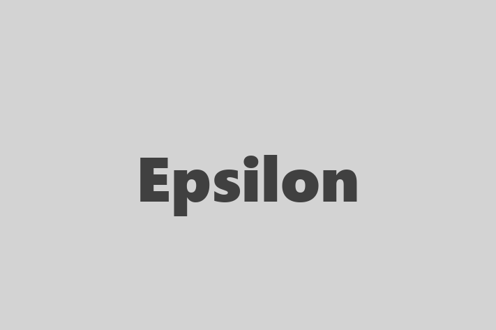 Software Consultancy Epsilon