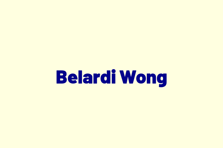 Software Services Company Belardi Wong