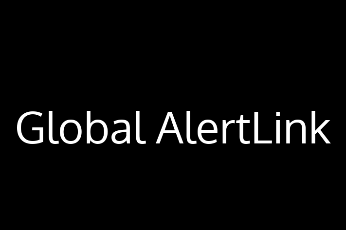 Software Development Company Global AlertLink