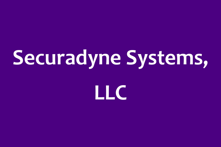 Technology Solutions Firm Securadyne Systems LLC