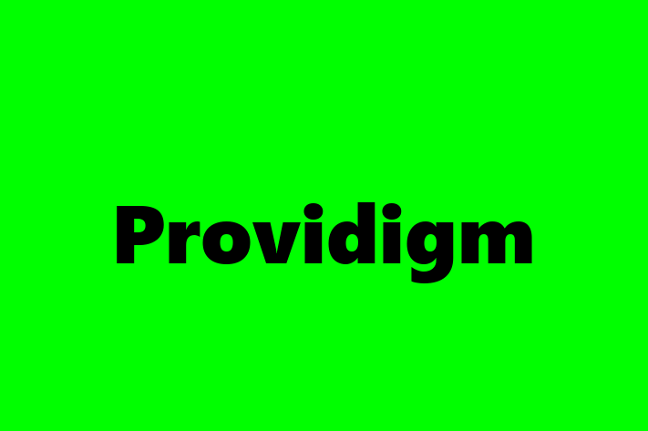 Application Development Company Providigm