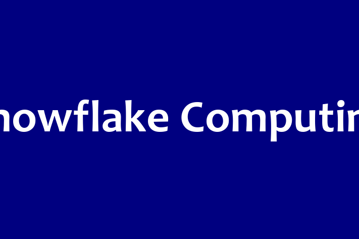 Application Development Company Snowflake Computing