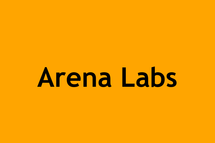 HR Administration Arena Labs