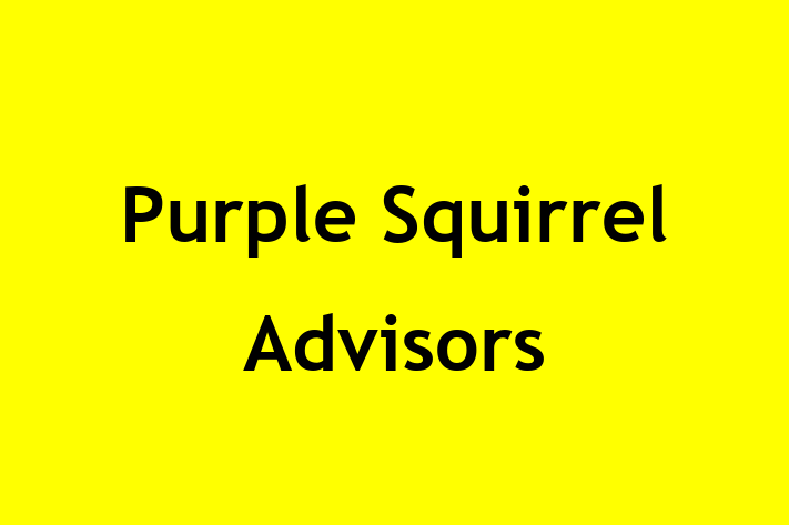 Personnel Management Purple Squirrel Advisors