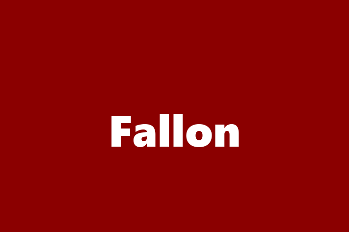 Software Consultancy Fallon