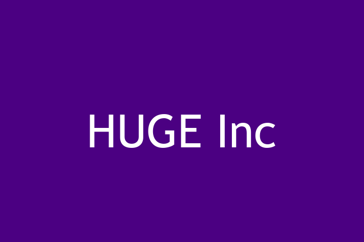 Software Engineering Company HUGE Inc