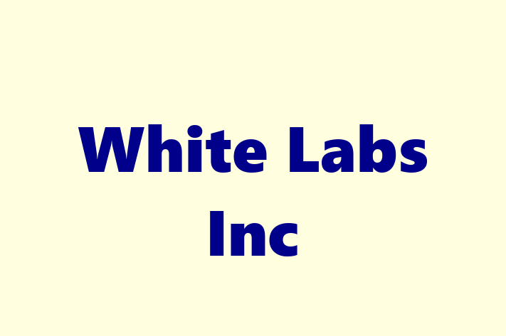 Software Engineering Company White Labs Inc