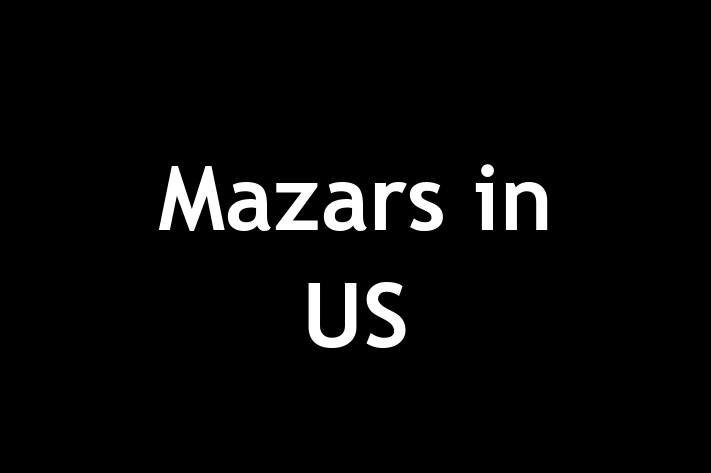 Labor Relations Mazars in US