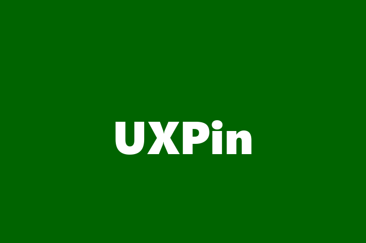 Software Solutions Provider UXPin