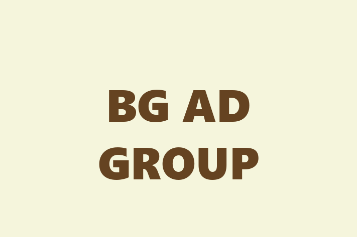 Tech Firm BG AD GROUP