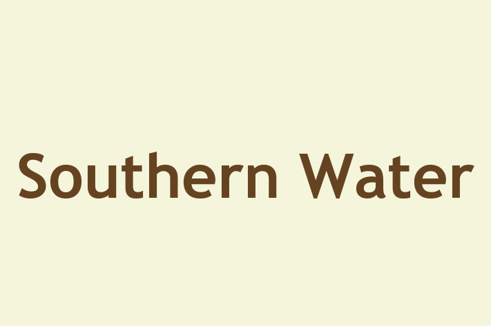 Software Services Company Southern Water