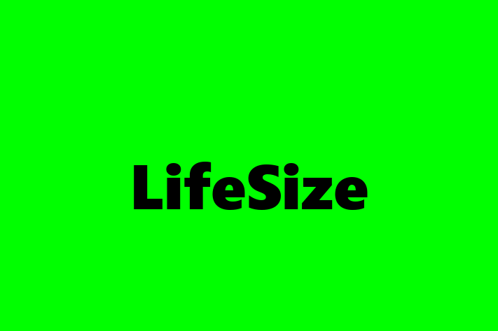 Software Engineering Company LifeSize