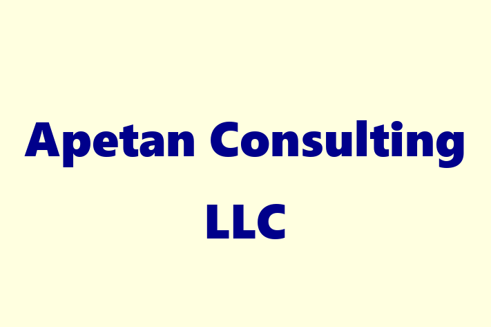 Personnel Management Apetan Consulting LLC