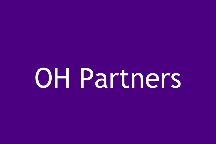 Software Development Company OH Partners