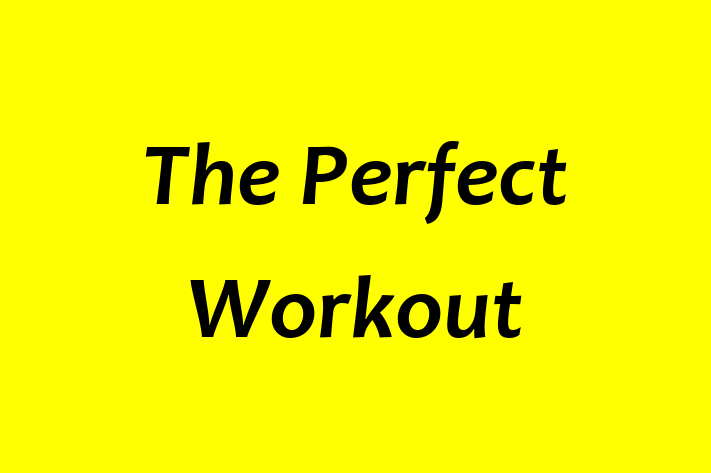 Human Capital Management The Perfect Workout