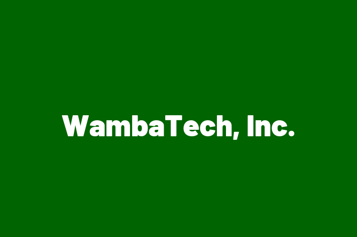 IT Company WambaTech Inc.